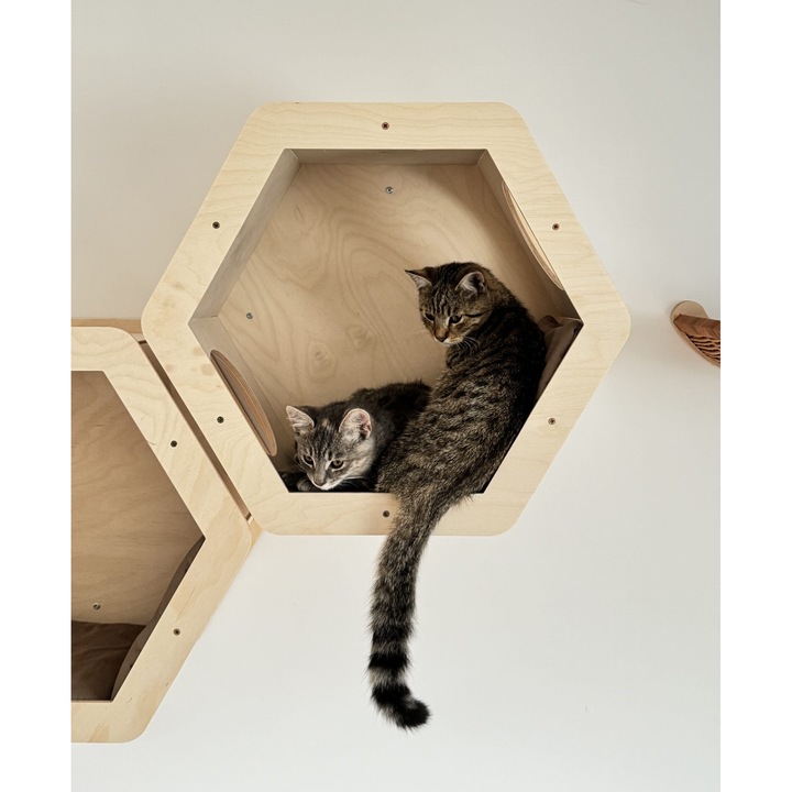 Culcus pentru pisici, Wiklibox, Heksagon, 2 feronerie, cu perna, multicolor, set