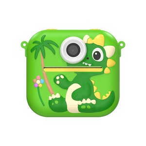 Aparate foto instant