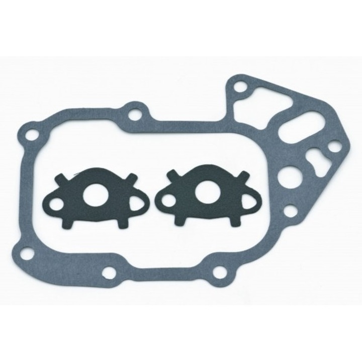 Set De Garnituri Pentru Racitorul De Ulei Fiat, Peugeot 504089123