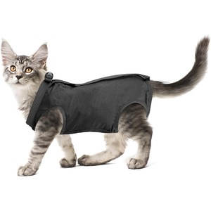 Haine animale de companie