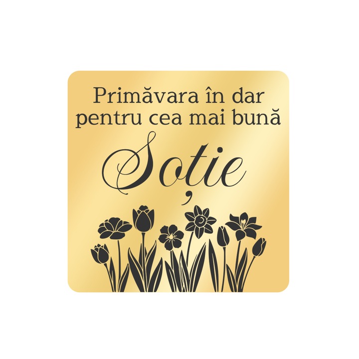 Martisor Brosa Inox Placat Aur 18K Romb Primavara In Dar Sotie