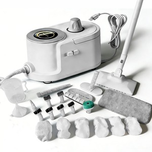 Aparate de curatat cu abur si mopuri electrice