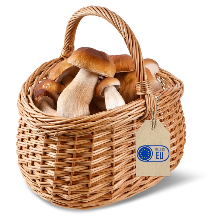 Cos din rachita cu maner, Creative Home, maro natural, 43 x 33 x 40 cm, cos pentru ciuperci, picnic, impletit manual, salcie groasa, multifunctional﻿