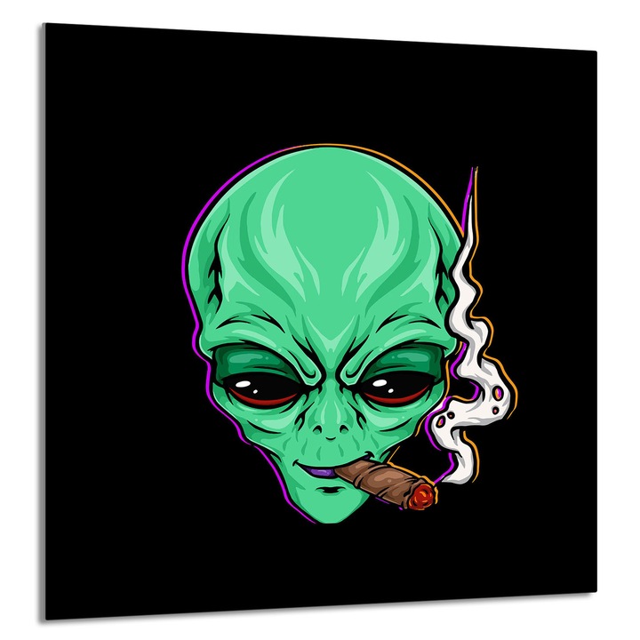 TMK ArtDeko Üveg konyhai hátfal 60x65cm, védelem, edénytartó, többszínű