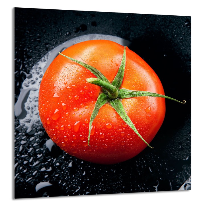 TMK ArtDeko Üveg konyhai hátlap 60x65cm, védelem, edénytartó, többszínű