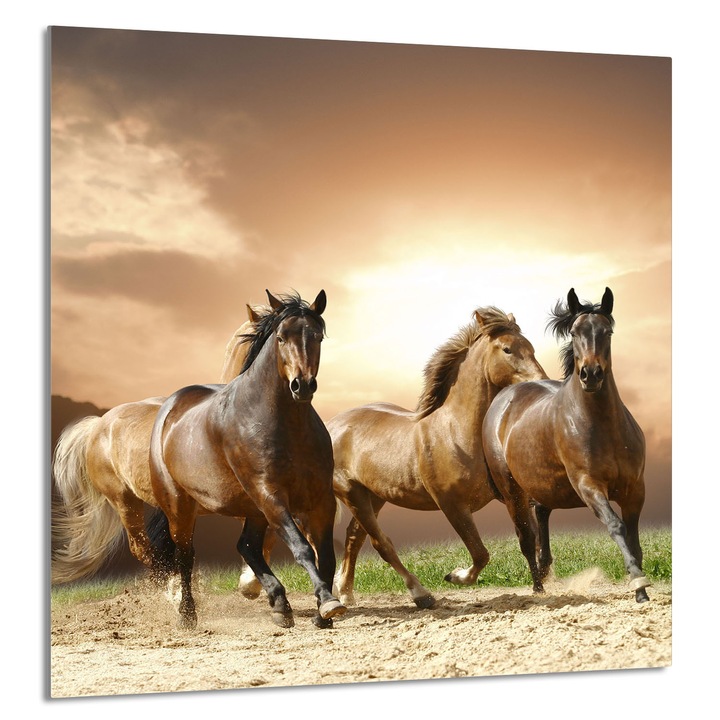 TMK ArtDeko konyhai üvegpanel 60x65cm, védelem, edénytartó, többszínű