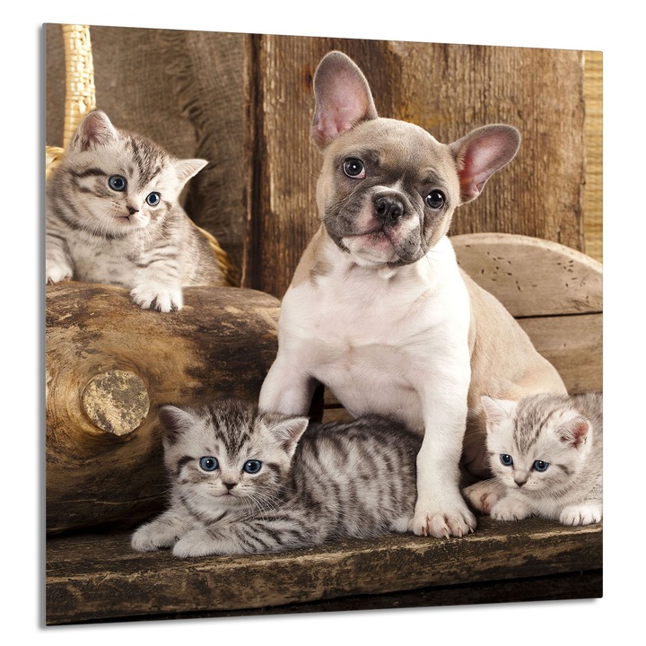 TMK ArtDeko konyhai üvegpanel 60x65cm, védelem, edénytartó, többszínű