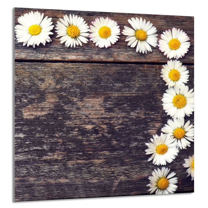 TMK ArtDeko Üveg konyhai hátfal 60x65cm, védelem, edénytartó, többszínű