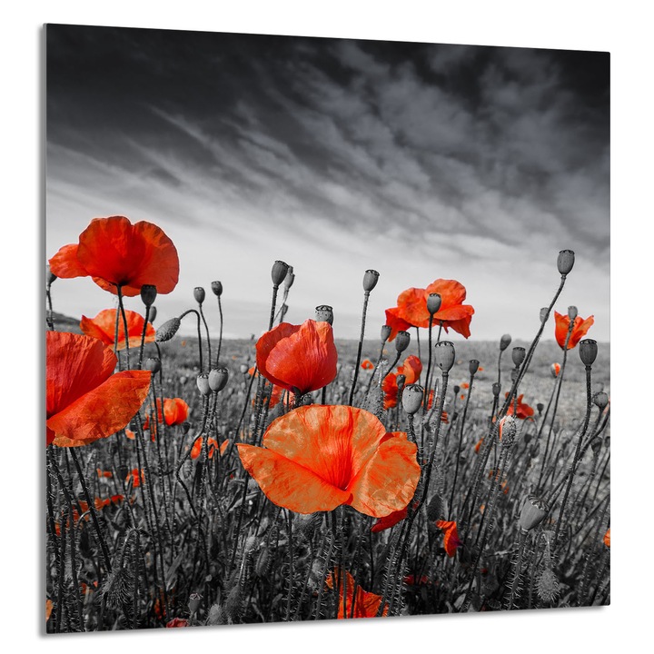 TMK ArtDeko konyhai üvegpanel 60x65cm, védelem, edénytartó, többszínű