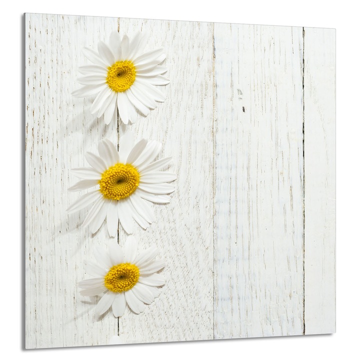 TMK ArtDeko Üveg konyhai hátlap 60x65cm, védelem, edénytartó, többszínű