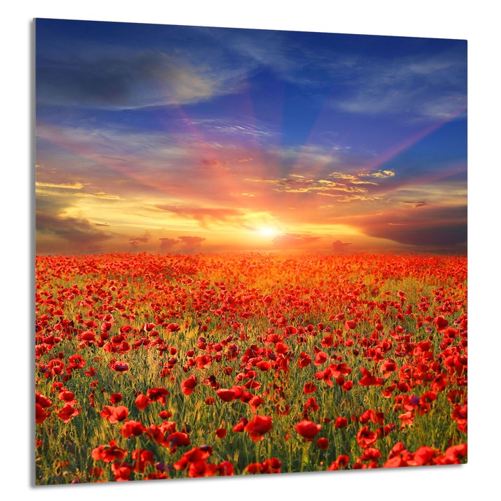 TMK ArtDeko Üveg konyhai hátfal 60x65cm, védelem, edénytartó, többszínű