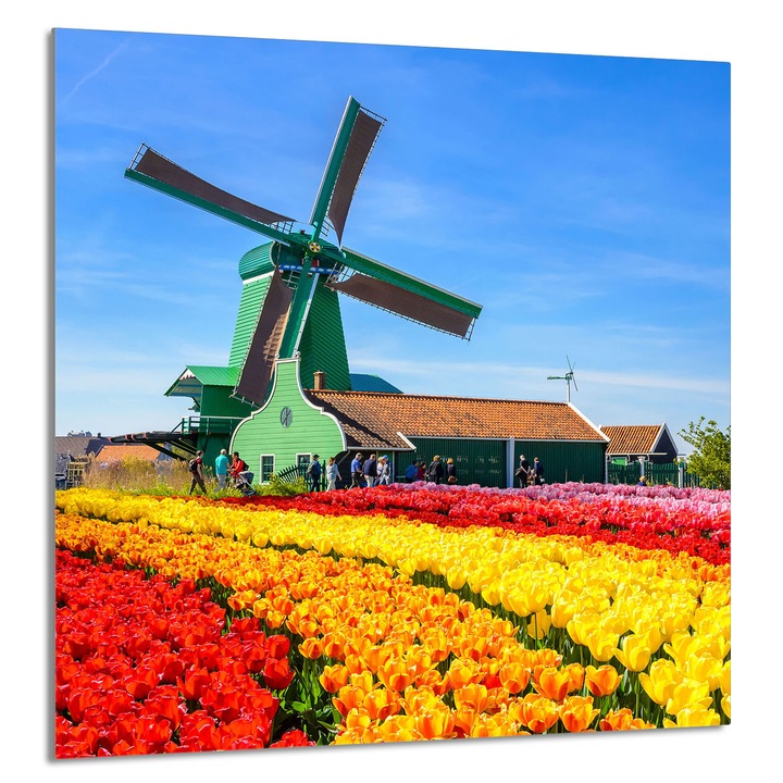 TMK ArtDeko Üveg konyhai hátfal 60x65cm, védelem, edénytartó, többszínű