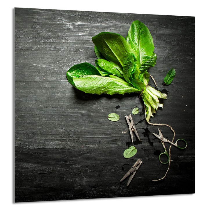 TMK ArtDeko Üveg konyhai hátfal, 60x65cm, védelem, edénytartó, többszínű