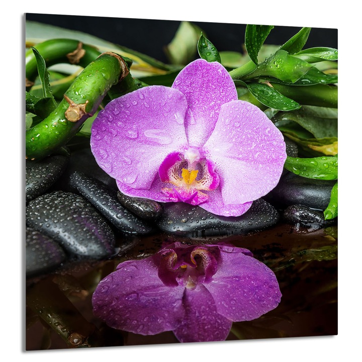 Üvegpanel konyhába 60x65 cm, TMK ArtDeko, modern design, multifunkcionális, szennyeződés elleni védelem, élénk színek