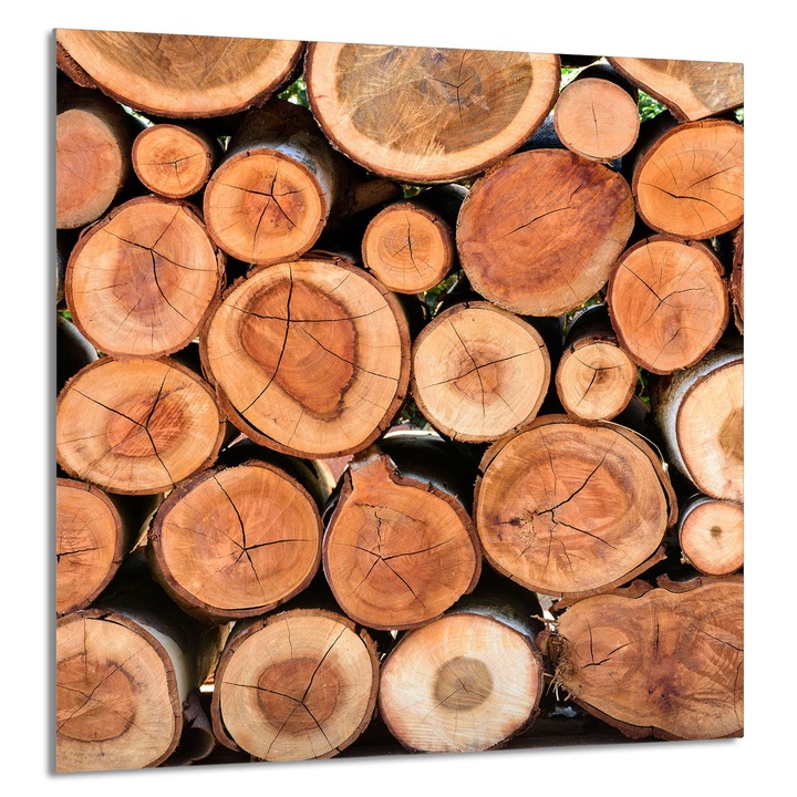 TMK ArtDeko Üveg konyhai hátfal 60x65cm, védelem, edénytartó, többszínű