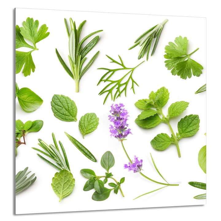 TMK ArtDeko 60x65cm konyhai üvegpanel, növényi mintával, tűzhelyvédelem, forró edénytartó