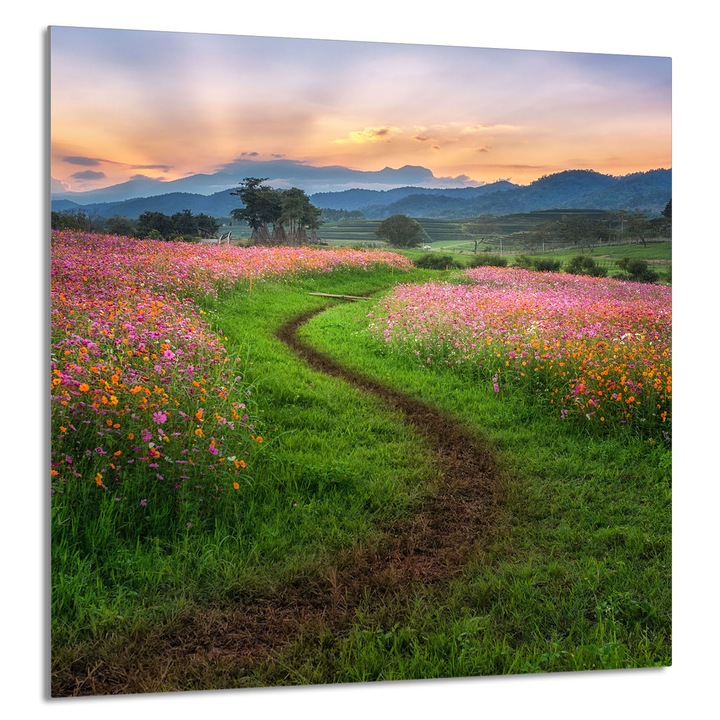 TMK ArtDeko konyhai üvegpanel 60x65cm, védelem, edénytartó, többszínű