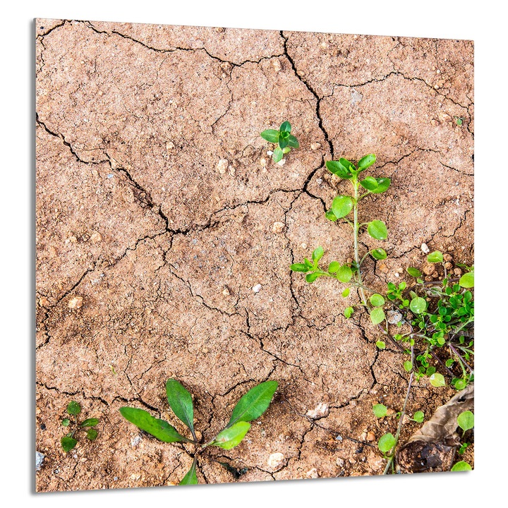 TMK ArtDeko konyhai üvegpanel 60x65cm, növényi design, multifunkcionális