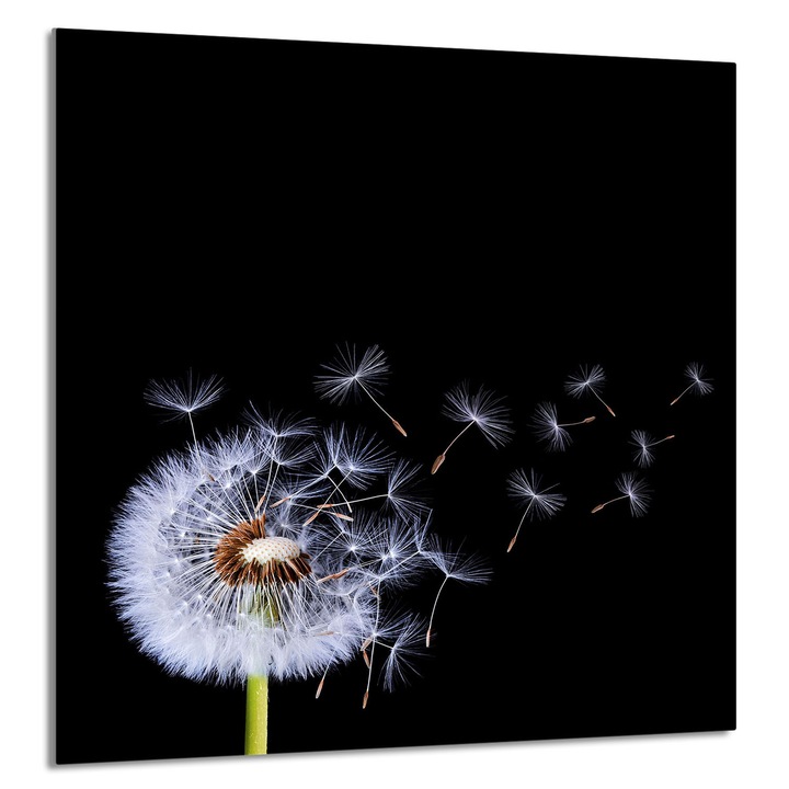 TMK ArtDeko Üveg konyhai hátlap 60x65cm, virágmintás, tűzhelyvédő, edénytartó