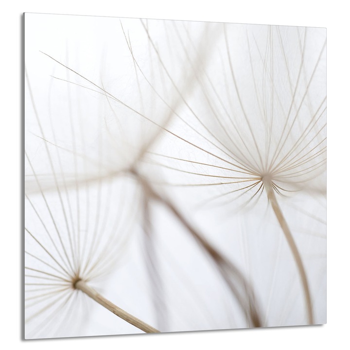 TMK ArtDeko 60x65cm konyhai üvegpanel, virágmintás, főzőlapvédelem, forró edényalátét