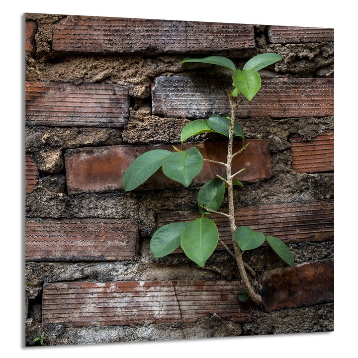 Panou de sticla pentru bucatarie TMK ArtDeko 60x65cm, design caramida, multifunctional, rezistent la temperaturi ridicate