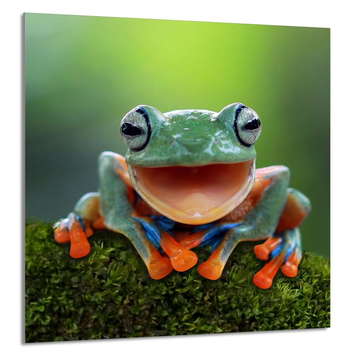 Panou de sticla pentru bucatarie TMK ArtDeko 60x65cm, protectie, suport pentru vase, multicolor