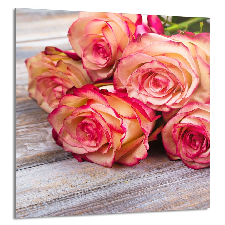 TMK ArtDeko Üveg konyhai hátfal, 60x65cm, védelem, modern design, rózsaszín