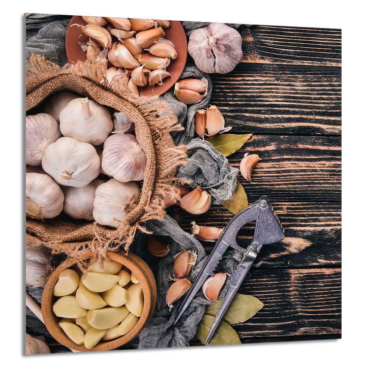 TMK ArtDeko Üveg konyhai hátfal, 60x65cm, védelem, edénytartó, többszínű