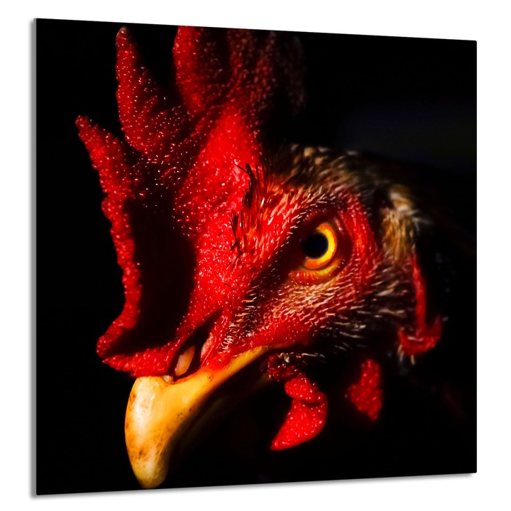 TMK ArtDeko 60x65cm üveg konyhai panel, védelem, modern design