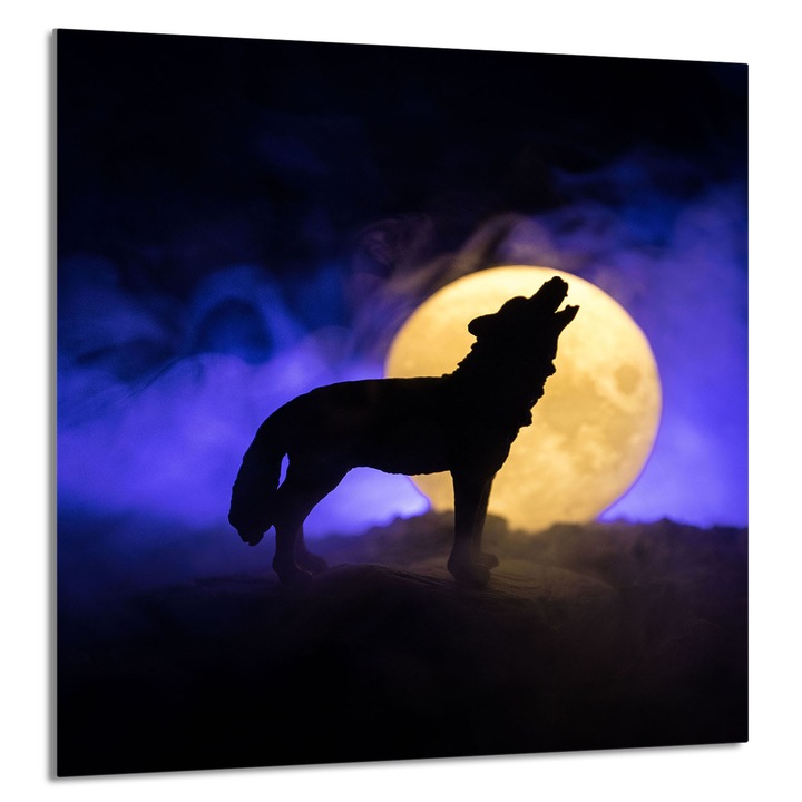 TMK ArtDeko Üveg konyhai hátfal 60x65cm, védelem, edénytartó, többszínű