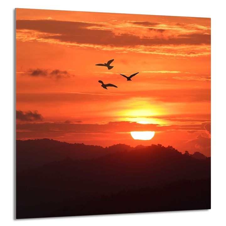 TMK ArtDeko Üveg konyhai panel 60x65cm, védelem, modern design, többszínű