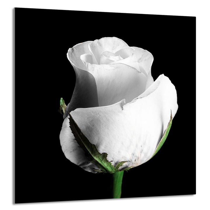 TMK ArtDeko 60x65cm konyhai üveg hátfal, védelem, modern design, rózsaszín