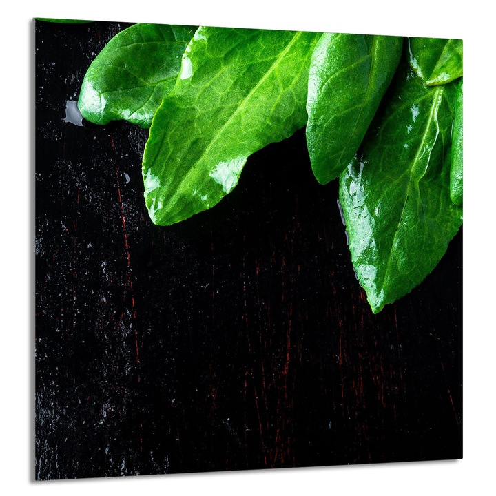 TMK ArtDeko Üveg hátfal konyhába 60x65cm, védelem, edénytartó, többszínű