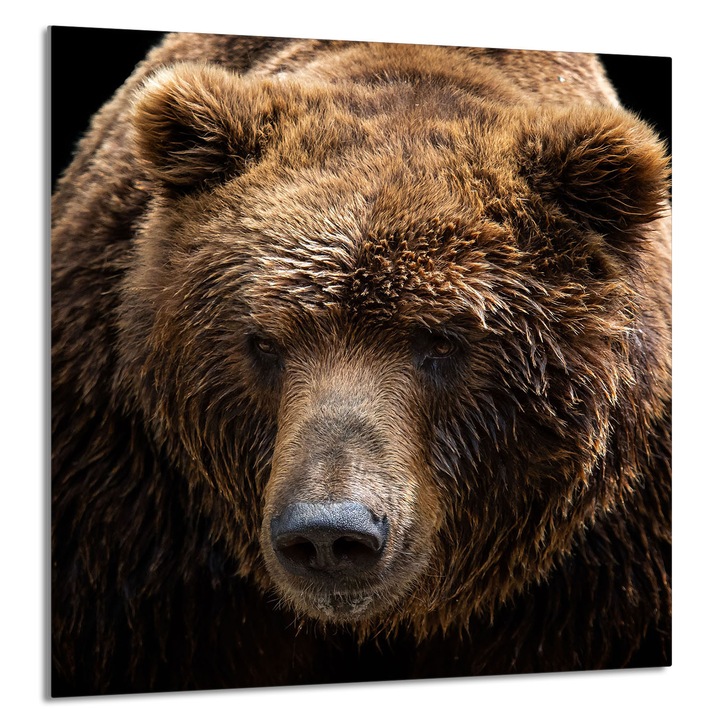 TMK ArtDeko konyhai üvegpanel 60x65cm, védelem, edénytartó, többszínű