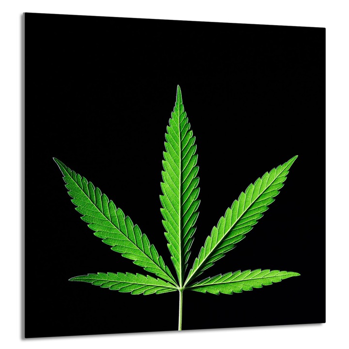 TMK ArtDeko Üveg konyhai hátlap 60x65cm, védelem, edénytartó, modern design