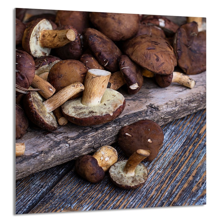 TMK ArtDeko 60x65cm konyhai üvegpanel, védelem, modern design