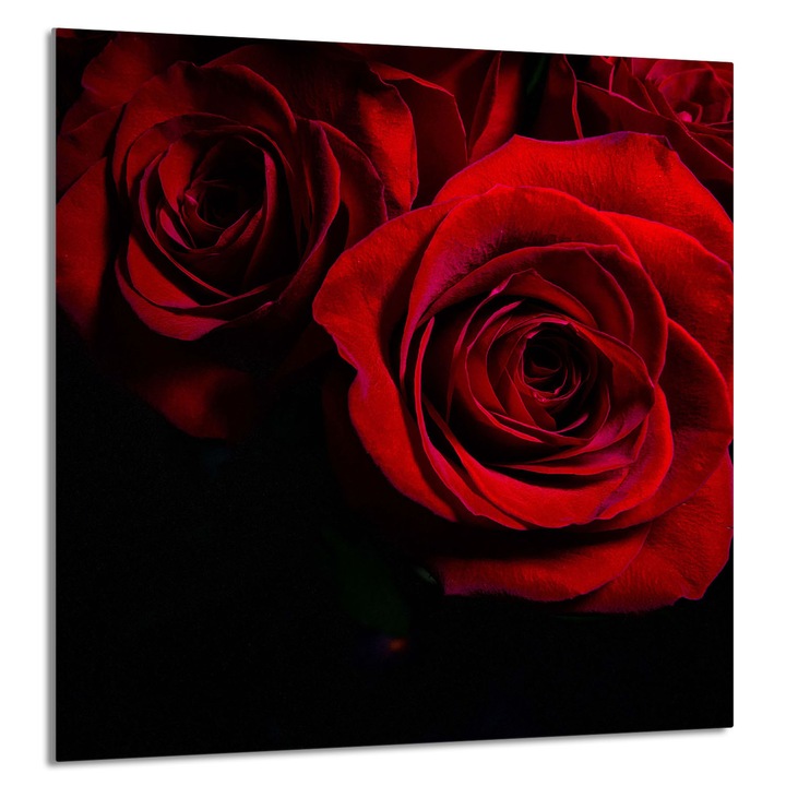 TMK ArtDeko 60x65cm konyhai üvegpanel, védelem, modern design, rózsaszín