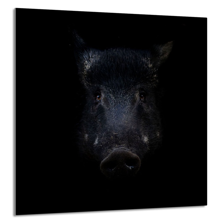 TMK ArtDeko 60x65cm konyhai üvegpanel, védelem, edénytartó