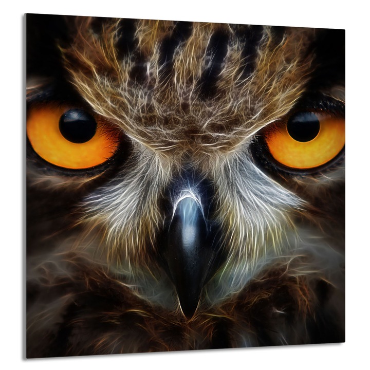 TMK ArtDeko konyhai üvegpanel 60x65cm, védelem, edénytartó, többszínű