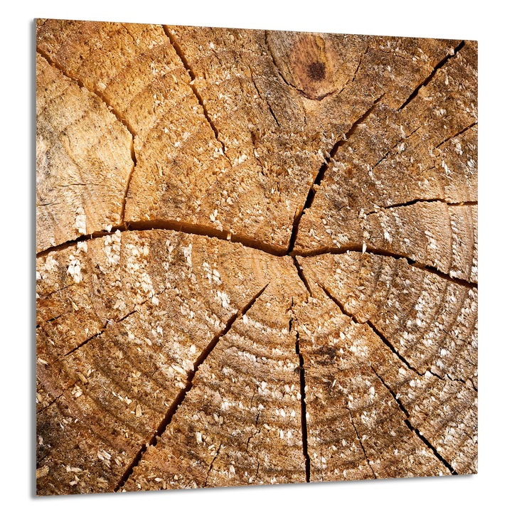 Üveg panel konyhába 60x65cm, TMK ArtDeko, védelem, edénytartó, modern design