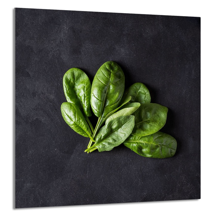 TMK ArtDeko Üveg konyhai hátlap 60x65cm, védelem, modern design