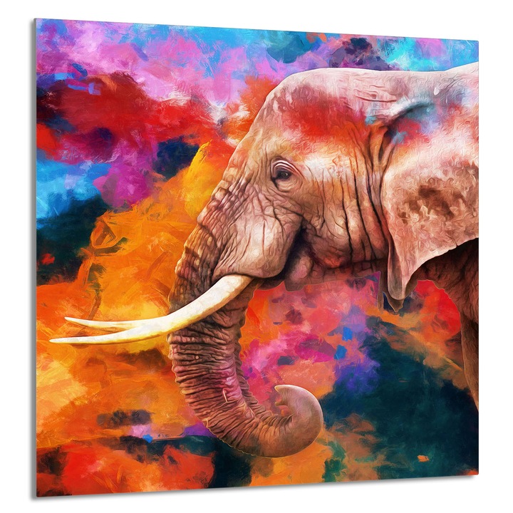 TMK ArtDeko Üveg konyhai hátfal 60x65cm, védelem, edénytartó, többszínű