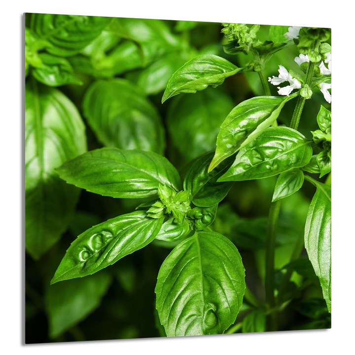 Стъклен панел за кухня TMK ArtDeko 60x65см, защита, поставка за съдове, многоцветен