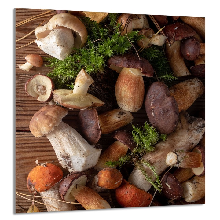 TMK ArtDeko 60x65cm üveg konyhai panel, védelem, modern design