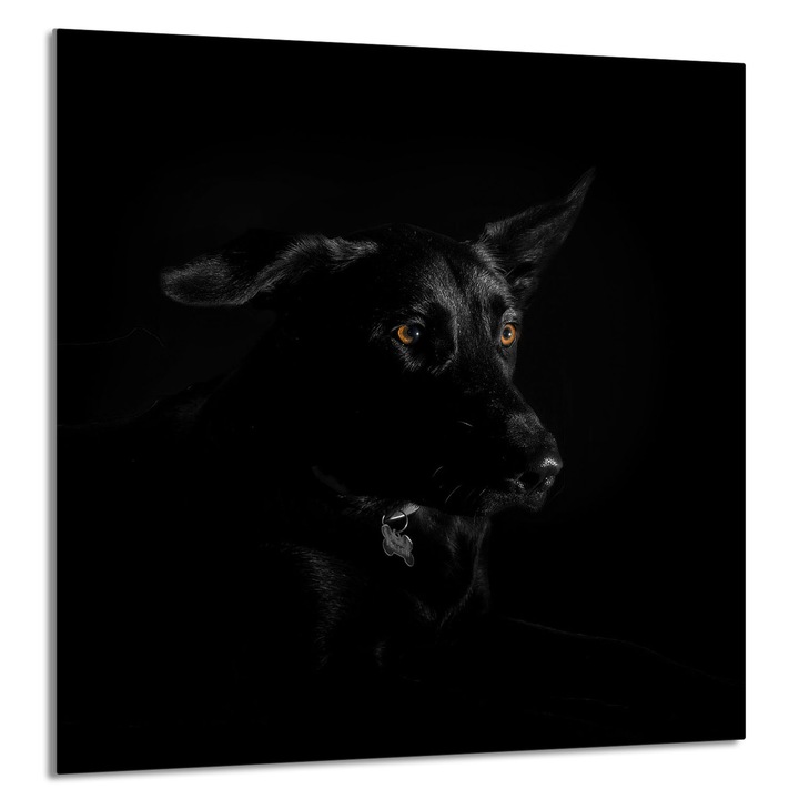 TMK ArtDeko 60x65cm konyhai üvegpanel, főzőlap védelem, edénytartó, modern design