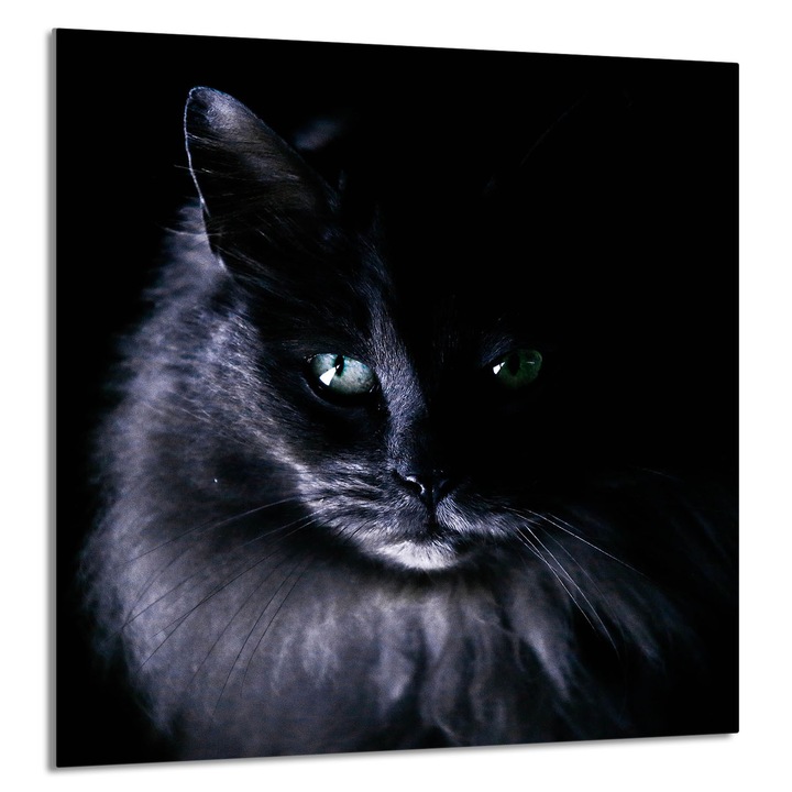 Konyhai üvegpanel 60x65 cm, TMK ArtDeko, védelem, edénytartó