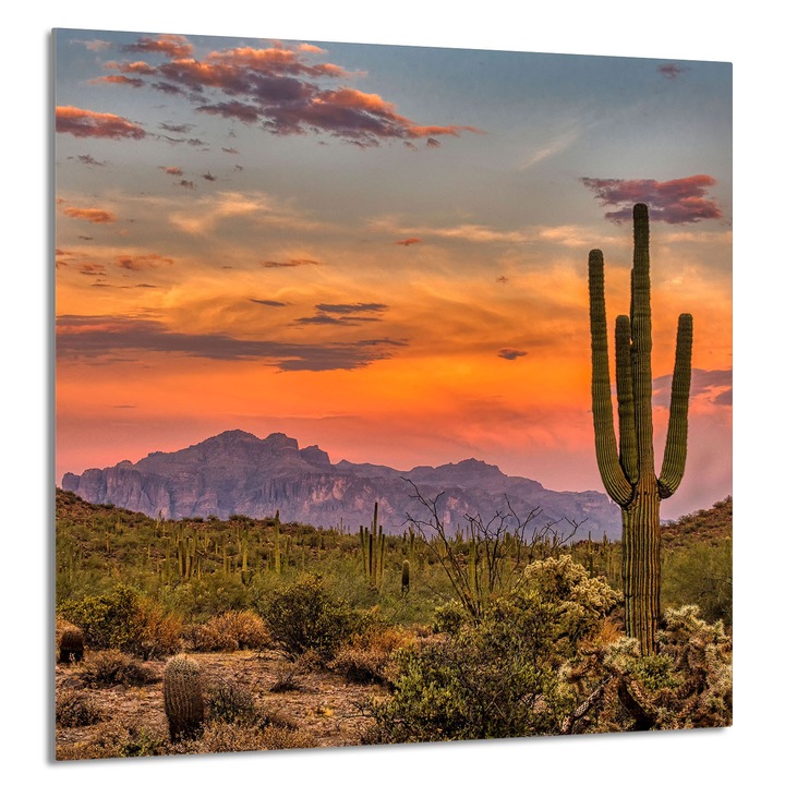 TMK ArtDeko Üveg hátfal konyhába 60x65cm, védelem, edénytartó, többszínű