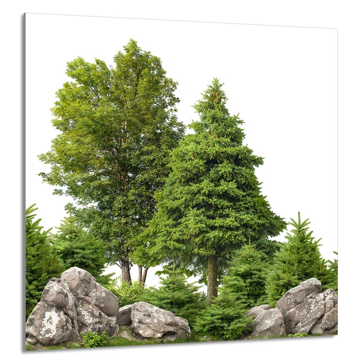 TMK ArtDeko konyhai üvegpanel 60x65cm, védelem, edénytartó