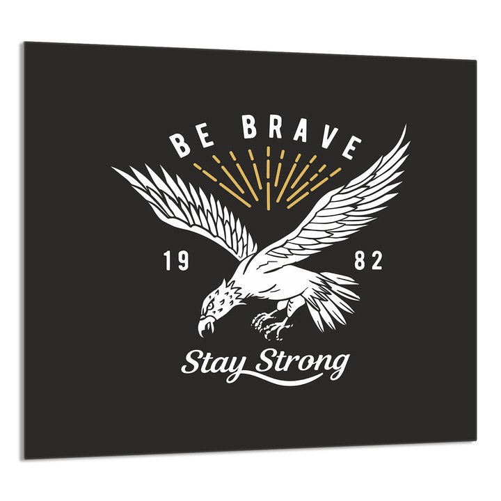 TMK ArtDeko konyhai üvegpanel 65x60cm, védelem, edénytartó, többszínű