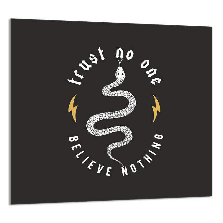 TMK ArtDeko Üveg konyhai panel 65x60cm, védelem, fekete